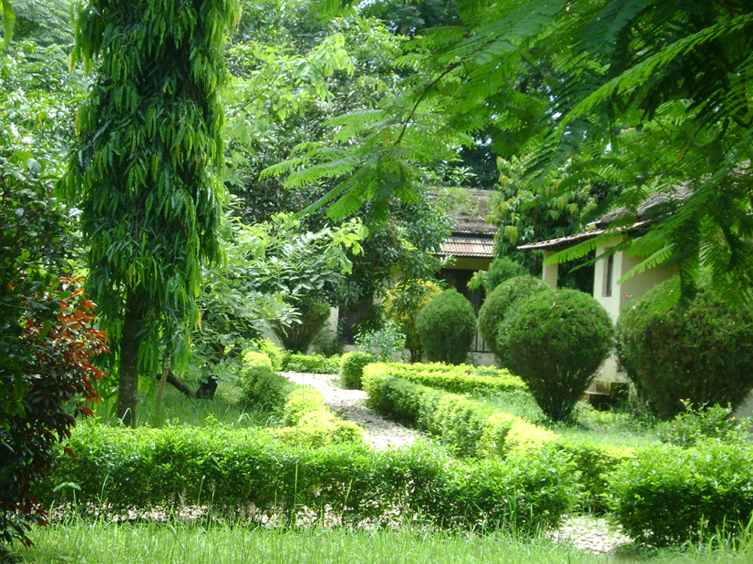 Urgently Resort For Sale, Bardia National Park Nepal Real Estate