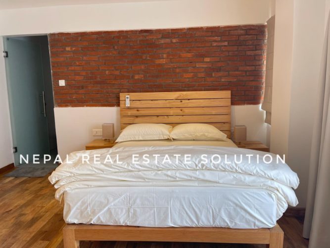 Vip Apartment For Rent In Sanepa