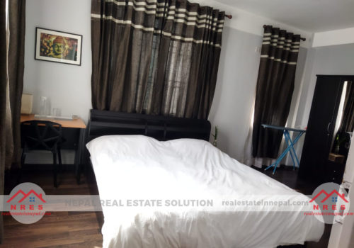 RENTED OUT: Pines Apartment 1 BHK For Rent In Lalitpur