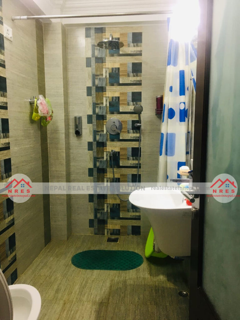 House For Rent In PattipaDhobighat