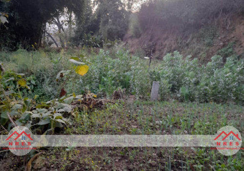 Land For Sale In Dakshinkali