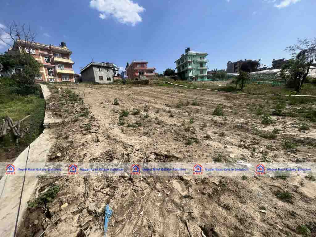 Land For Sale In Jharuwarasi Nepal Real Estate SolutionReal Estate