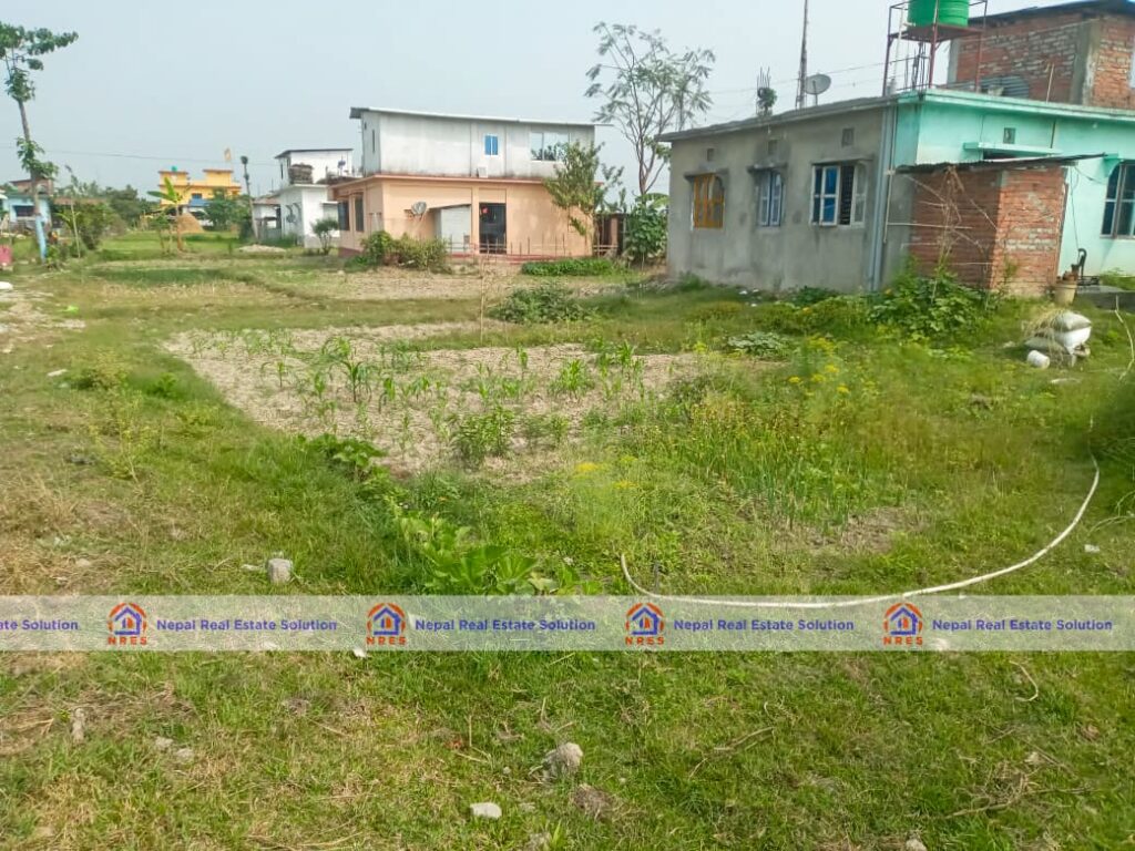 Land For Sale In Jhapa Nepal Real Estate SolutionReal Estate In