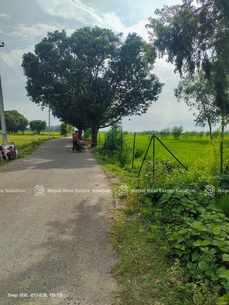 Land For Sale In Lumbini Nepal Real Estate Solutions Nres01