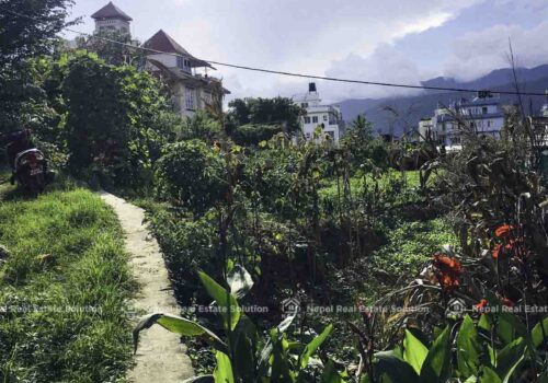 Land For Sale