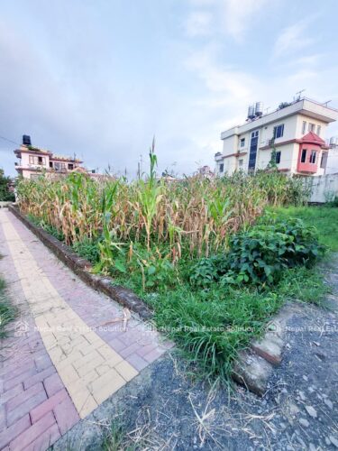 Land for sale in Bhaisepati