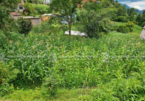 LAND FOR SALE