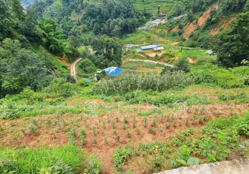 LAND FOR RENT