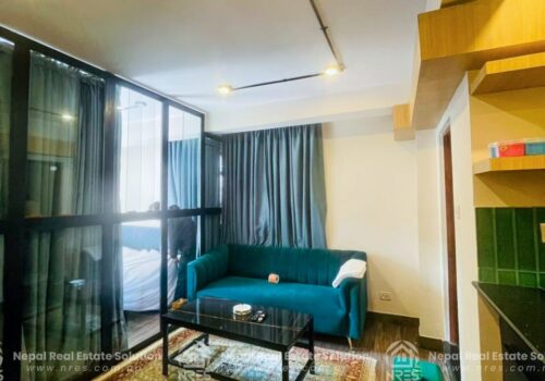 APARTMENT FOR RENT IN SANEPA 1BHK