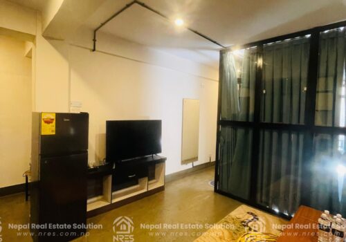 APARTMENT FOR RENT IN SANEPA