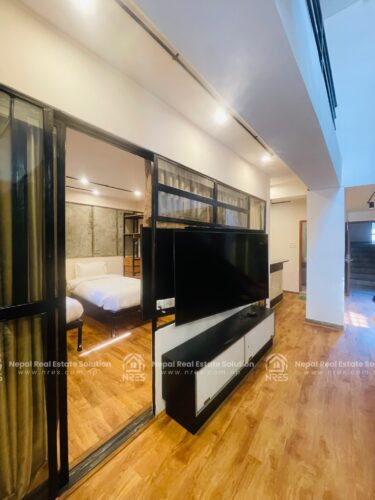 apartment for sale in sanepa