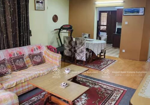 APARTMENT FOR RENT IN LALITPUR