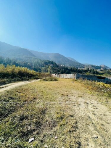 Land for sale in chanlakhel
