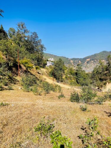 Land for sale in sunakothi