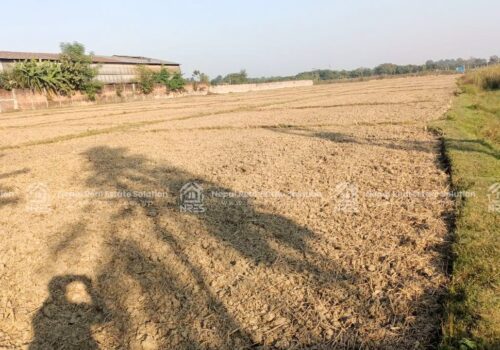 LAND FOR SALE IN LUMBINI