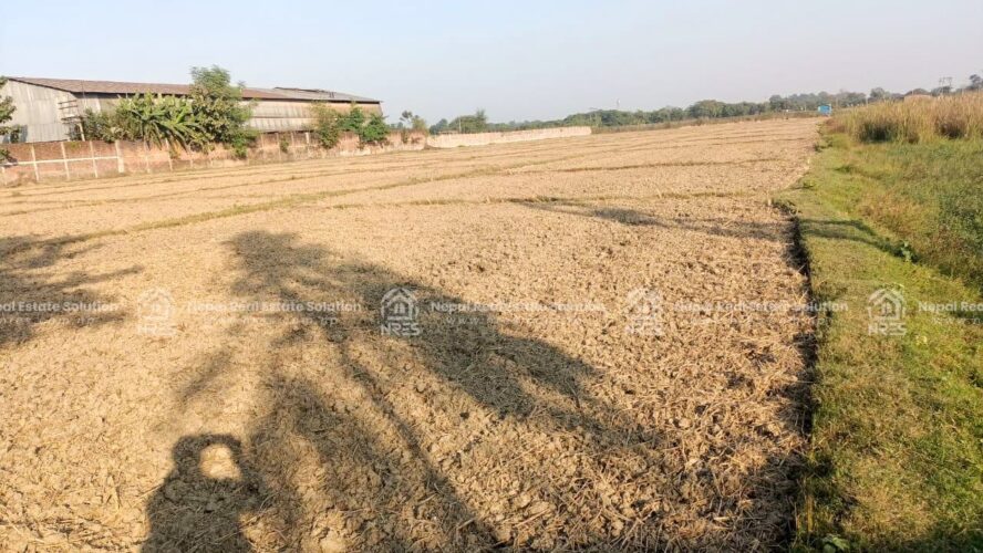 Land for sale in Lumbini