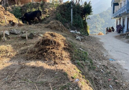 5 aana land for sale in Kathmandu