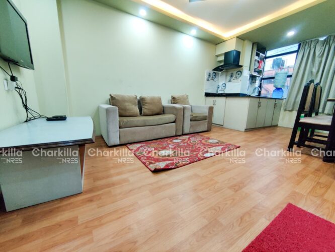 2bhk apartment for rent in Jhamsikhel Lalitpur