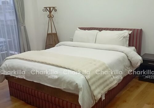 2BHK MODERN FURNISHED APARTMENT FOR RENT