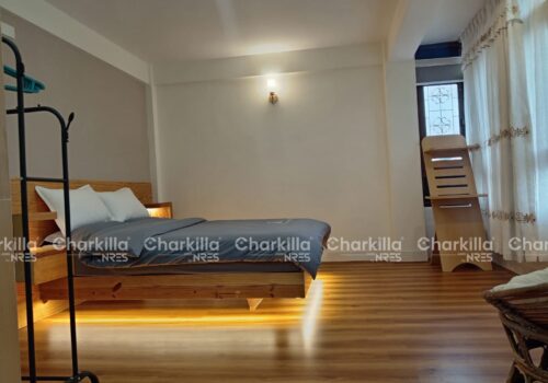 Fully furnished Apartment for rent in Patan