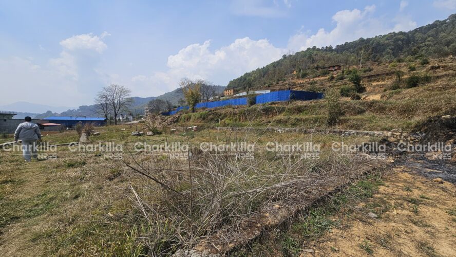 Land for sale in Lele